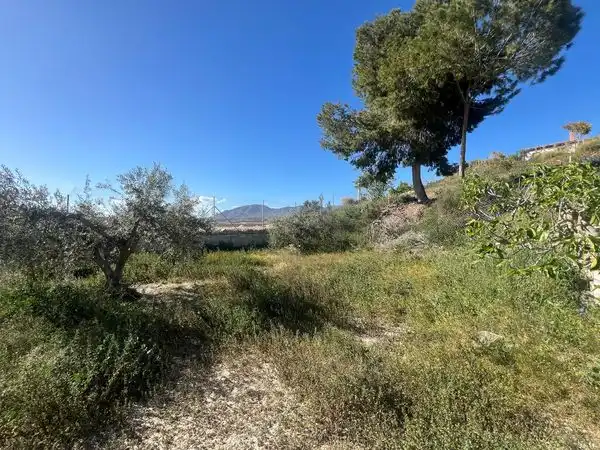 Nave industrial en venta en Pulpí