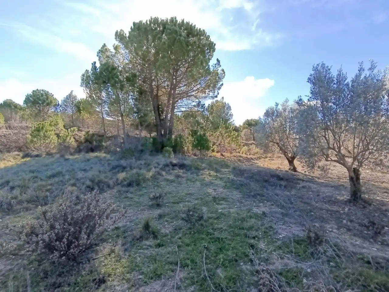 Country house for sale in Batoi, imagen 13