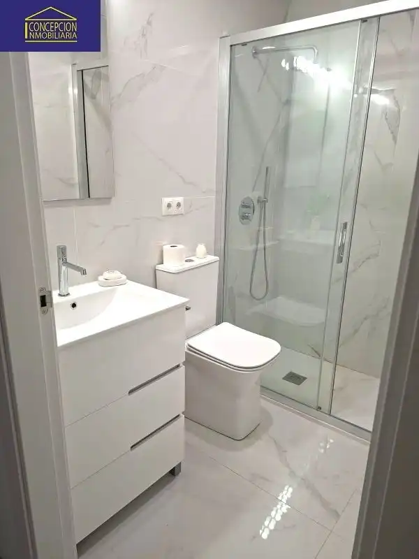Bathroom of Apartments for rent in Córdoba  with Air Conditioner, Heating and Furnished