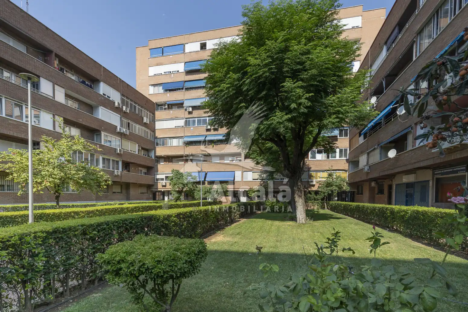 Vista exterior de Piso en venta en Torrejón de Ardoz con Calefacción, Parquet y Terraza