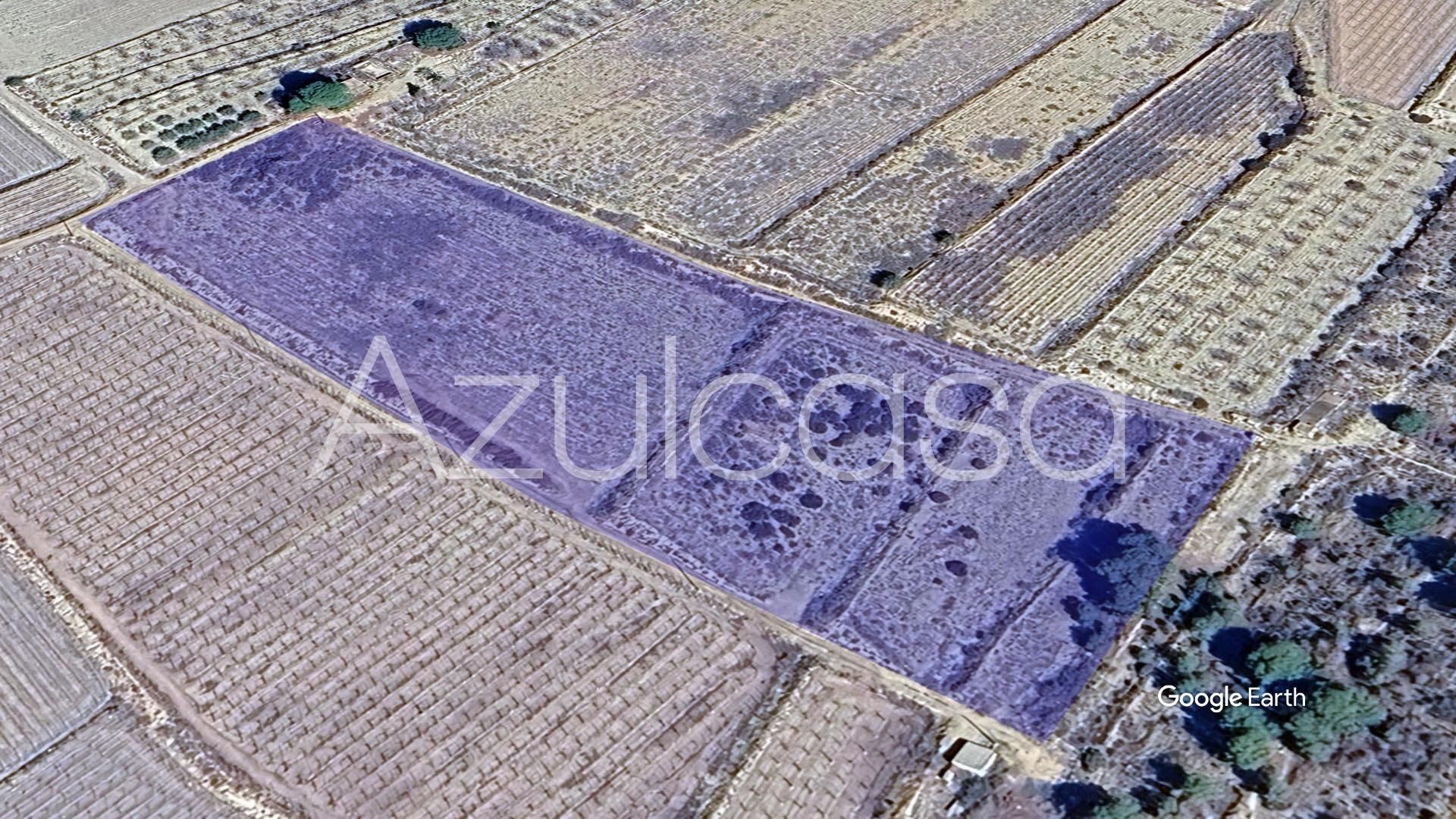 Terreny en venda en Monforte del Cid