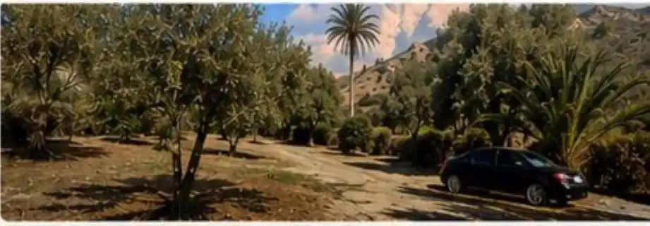 Terreno rustico in affitto a El Romeral - Peñón de Zapata, imagen 9