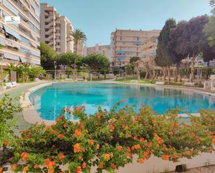 Swimming pool of Flat for sale in Alicante / Alacant  with Air Conditioner and Terrace