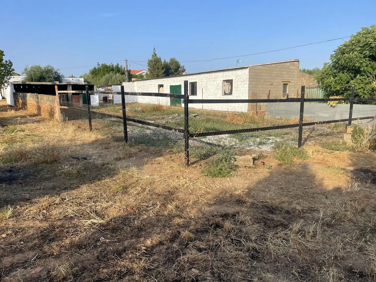 Land for sale in Sur