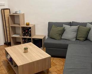Sala d'estar de Pis de lloguer en Terrassa amb Es permeten mascotes
