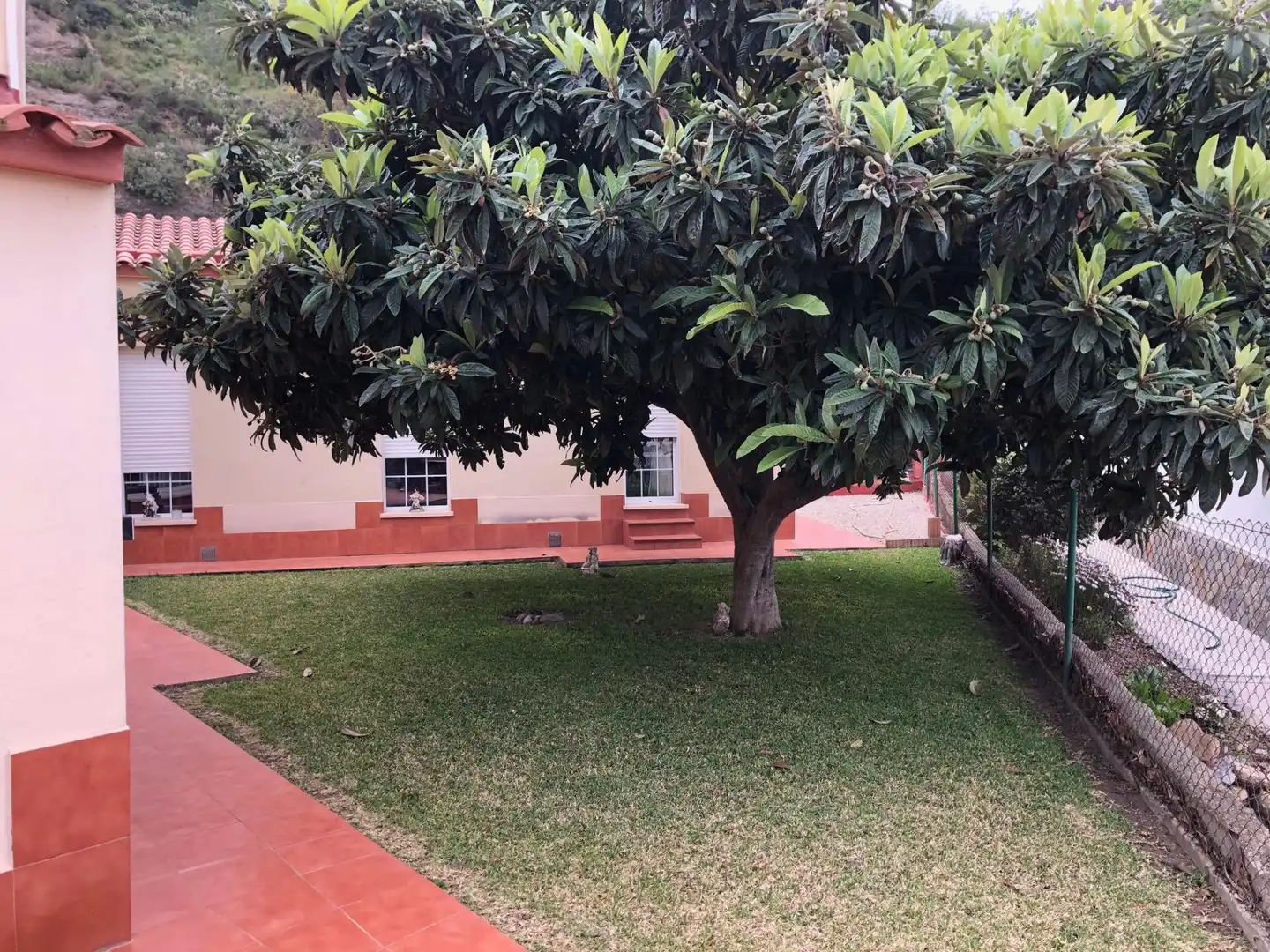 Jardín de Casa o chalet en venta en Abrera con Calefacción, Jardín privado y Terraza
