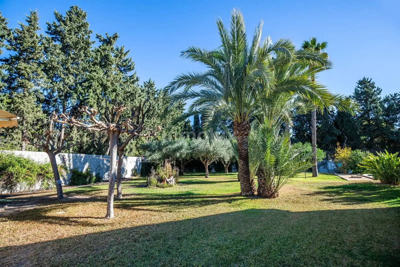 Casa o xalet en venda a Avenida Arquitecto Félix Candela, Alicante Golf