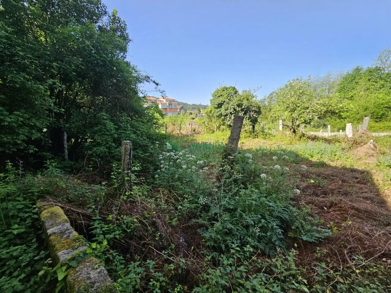 Casa rústica amb jardí en venda a Ramón Peinador, imagen 12