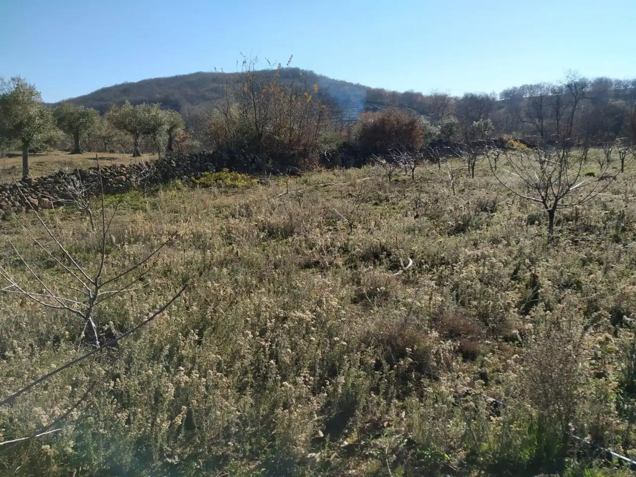 Residential for sale in Gargüera