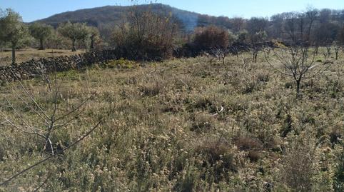 Foto 4 de Residencial en venta en Gargüera, Gargüera, Cáceres