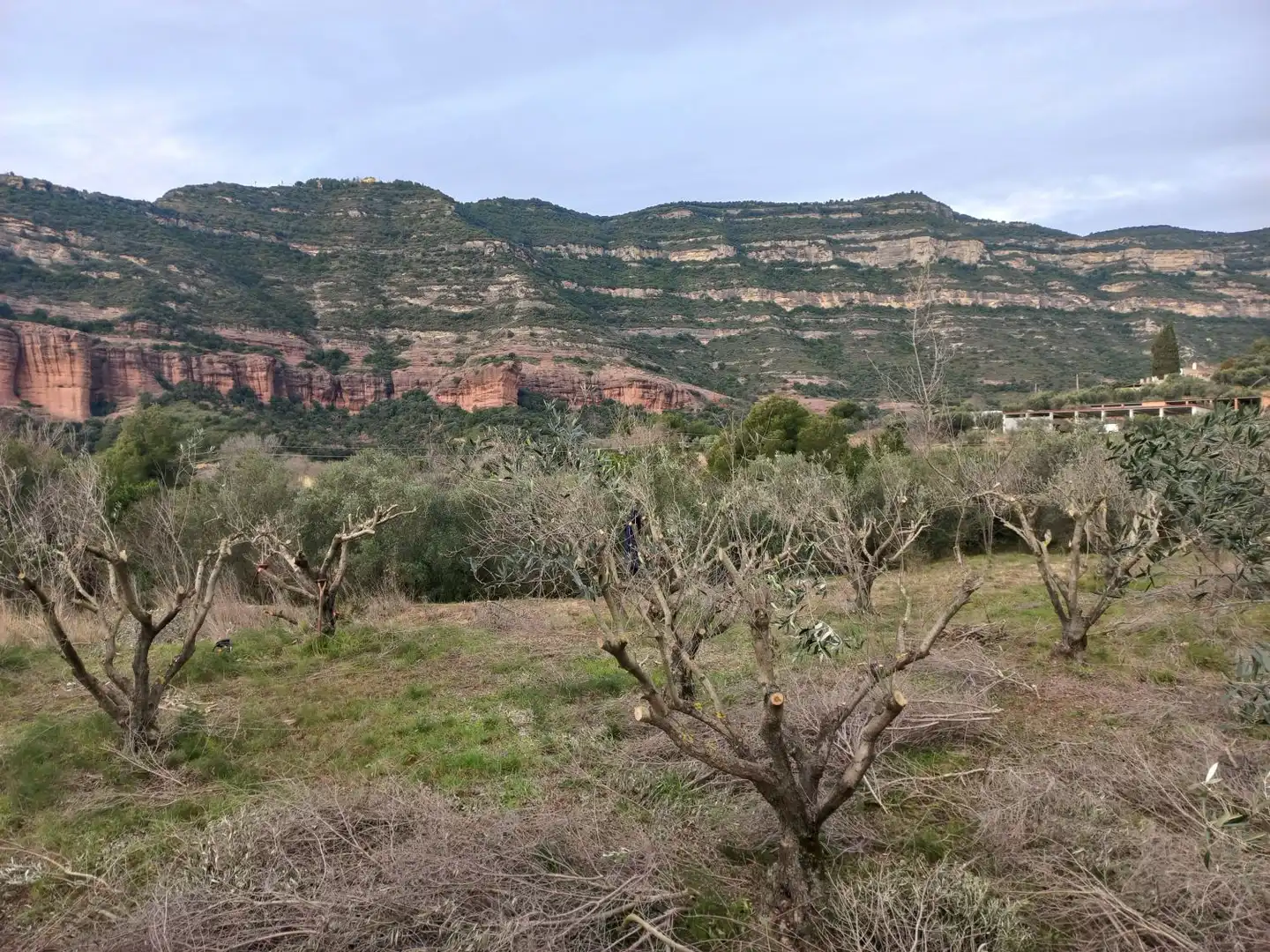 Lands and plots for sale in Bigues i Riells del Fai, imagen 2