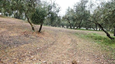Finca rústica en Peligros  Excelente ubicación y acceso, immagine 3
