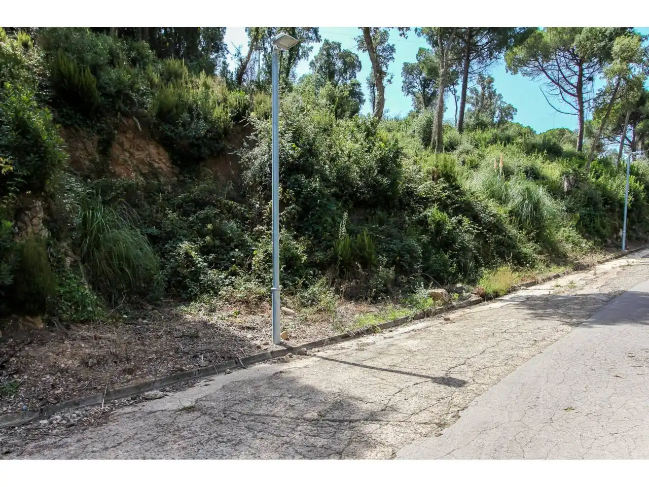 Terreno rústico en venta en Avenida Illes 12, imagen 6