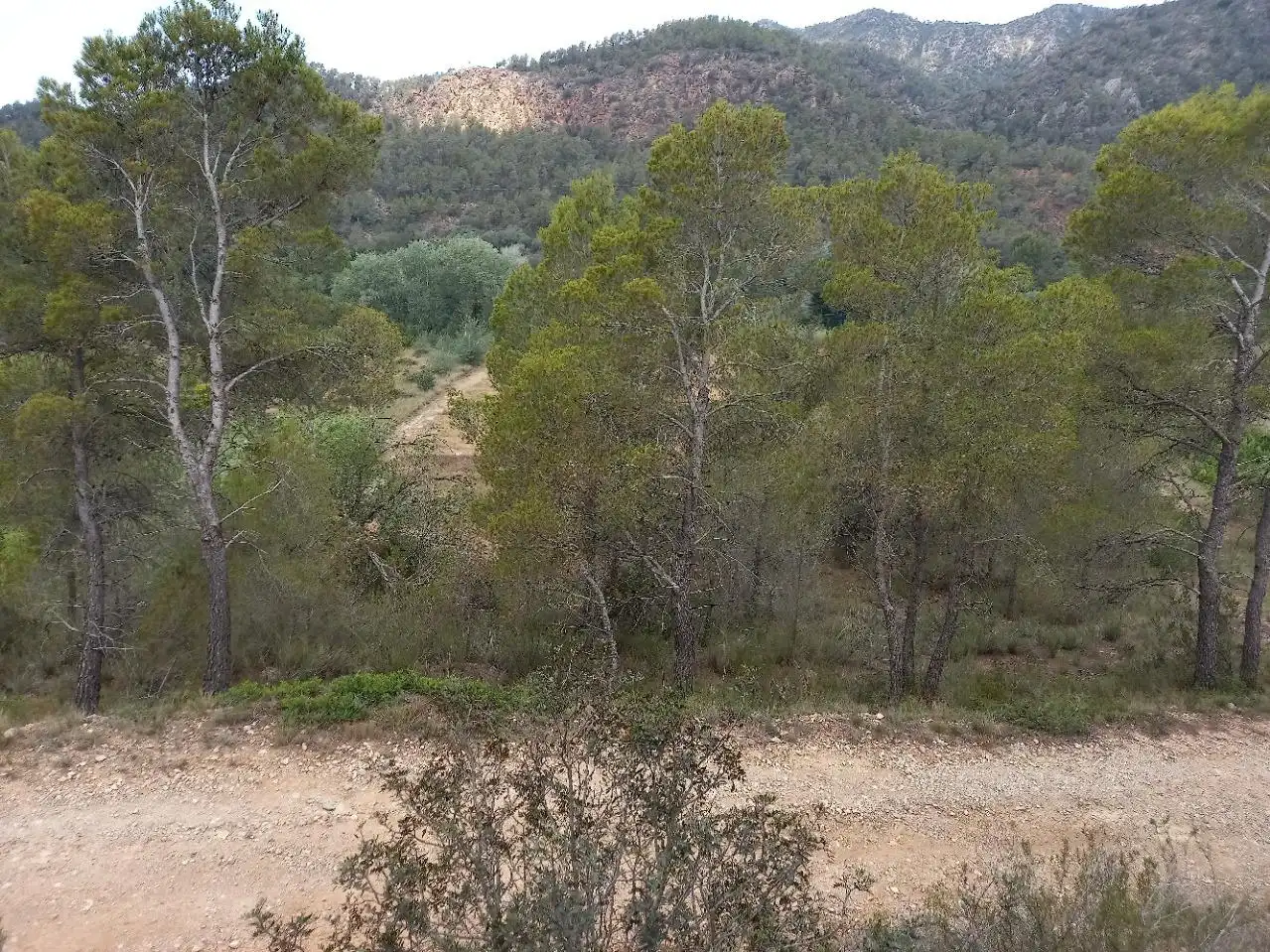 Terrenys i solars en venda a Miravet, imagen 17