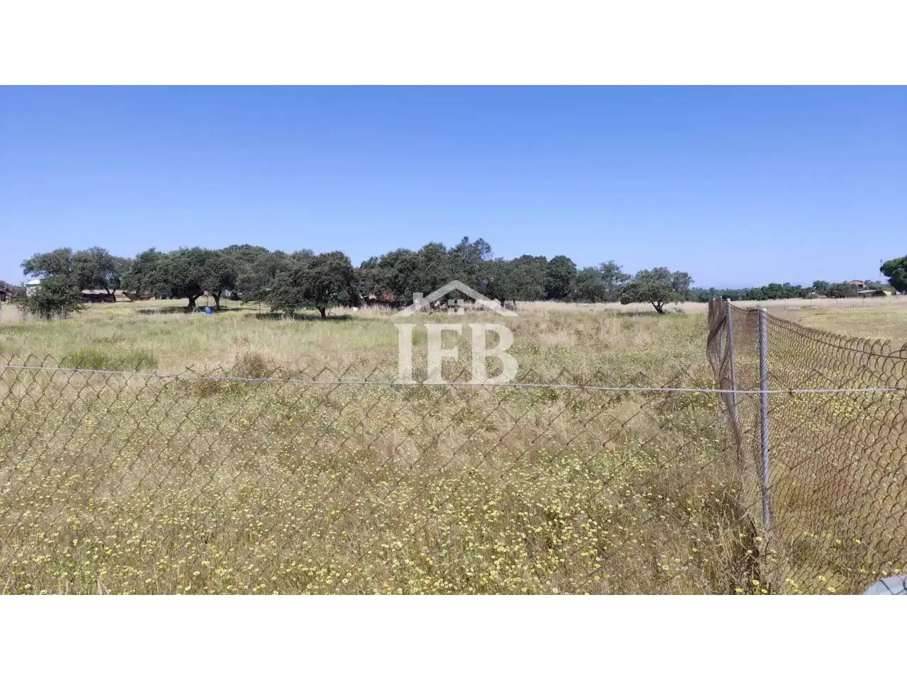 Land for sale in Badajoz