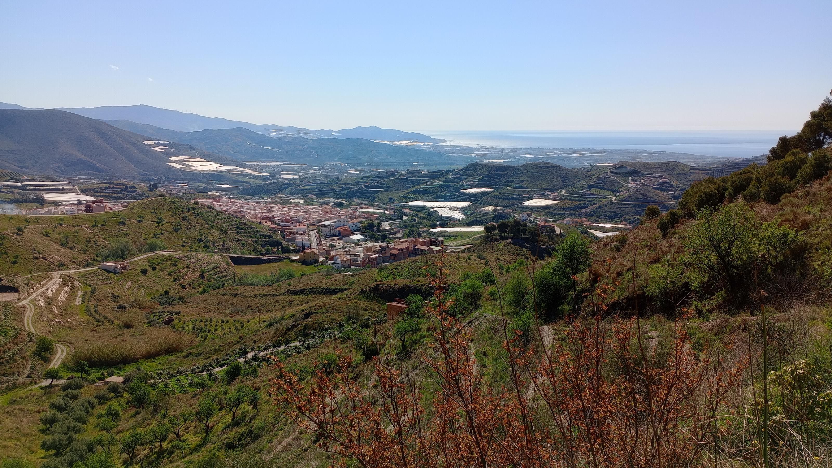 Vista exterior de Finca rústica en venda en Molvízar