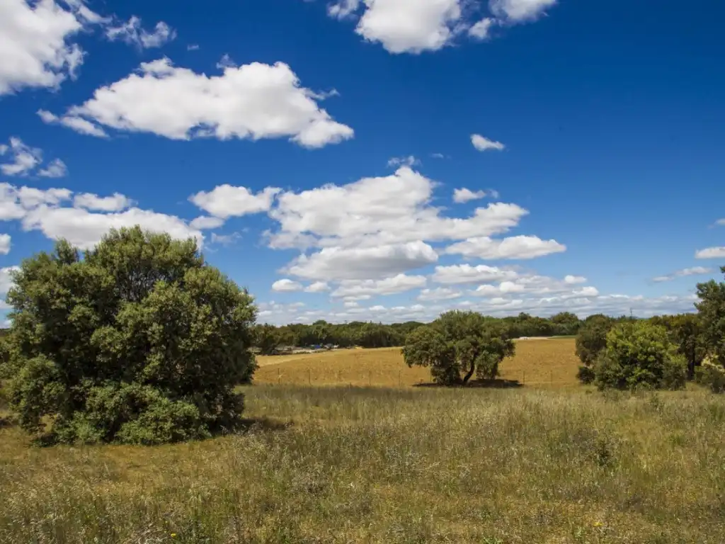 Finca rústica en venda en Navalcarnero