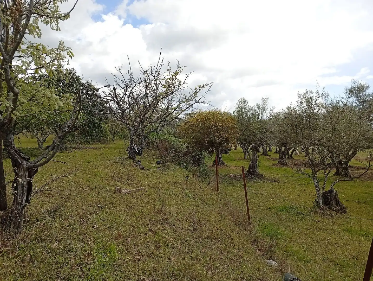 Terreni e lotti in vendita a Villanueva de la Vera, imagen 53