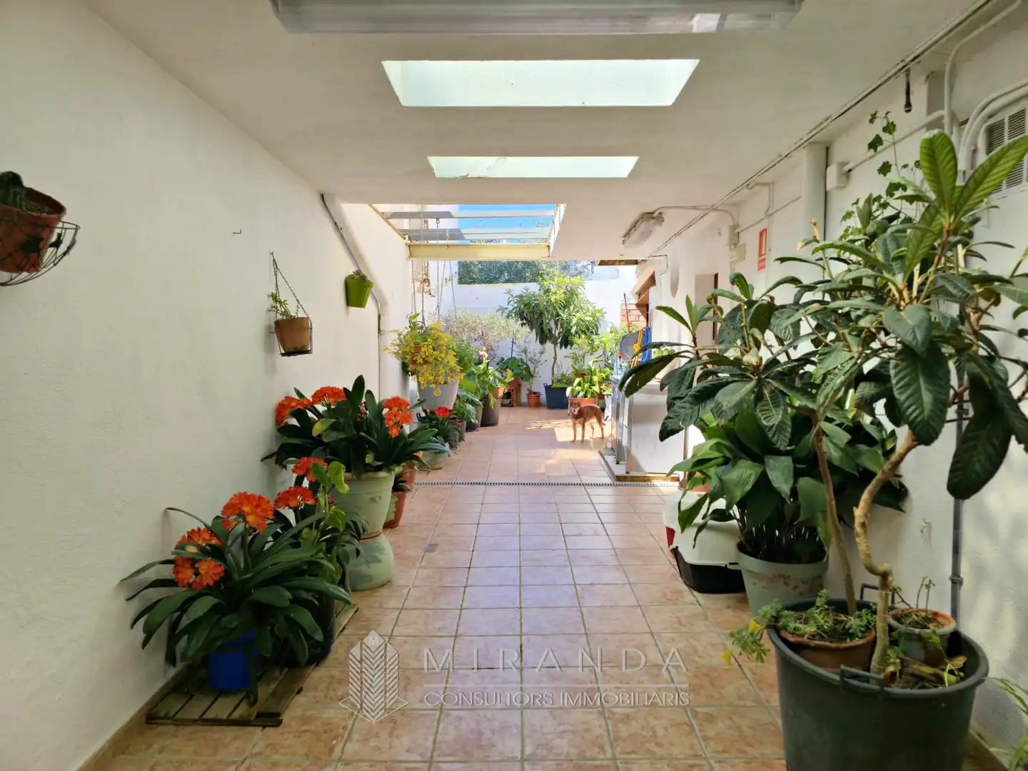 Terrasse von Einfamilien-Reihenhaus mieten mit Kaufoption in Breda mit Klimaanlage, Heizung und Parkett