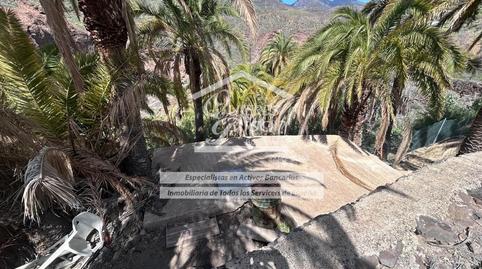 Photo 4 of Land for sale in La Sorrueda, Santa Lucía de Tirajana interior, Las Palmas