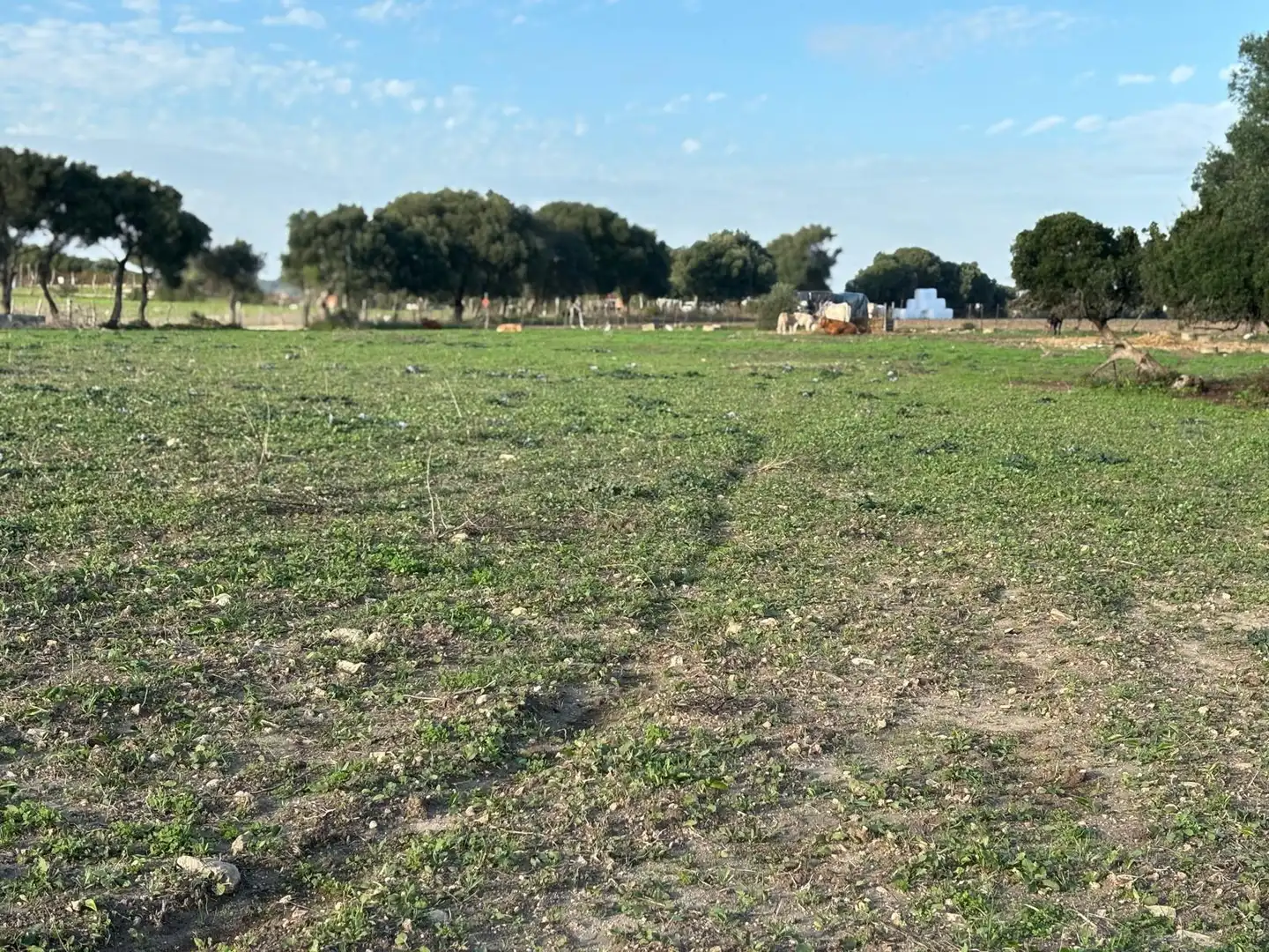 Terreni e lotti in vendita a Vejer, imagen 13