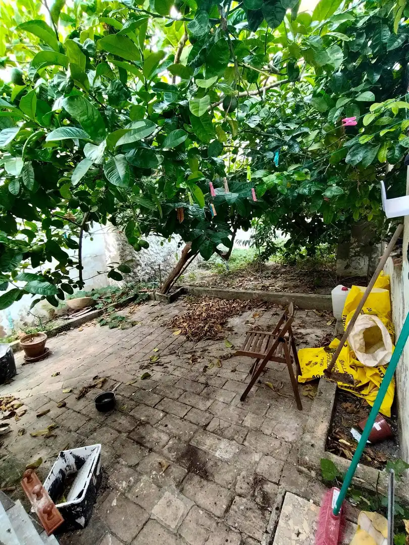 Casa en venda a Trebujena, imagen 12