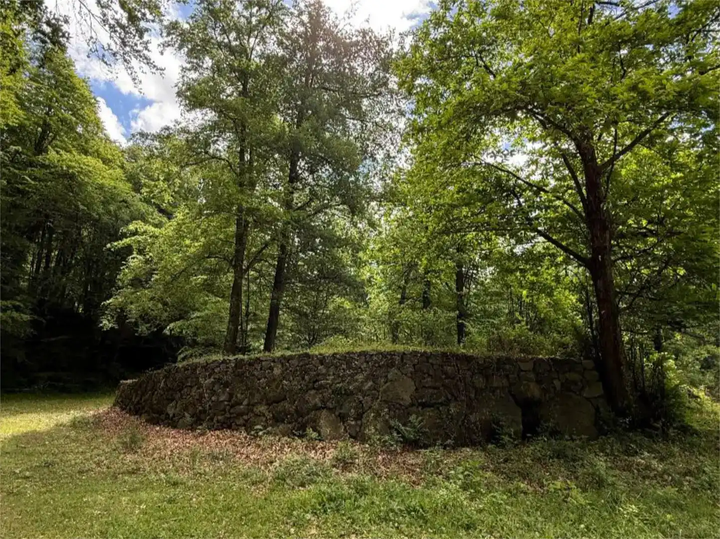 Pis en venda en Santa Pau amb Jardí privat i Traster