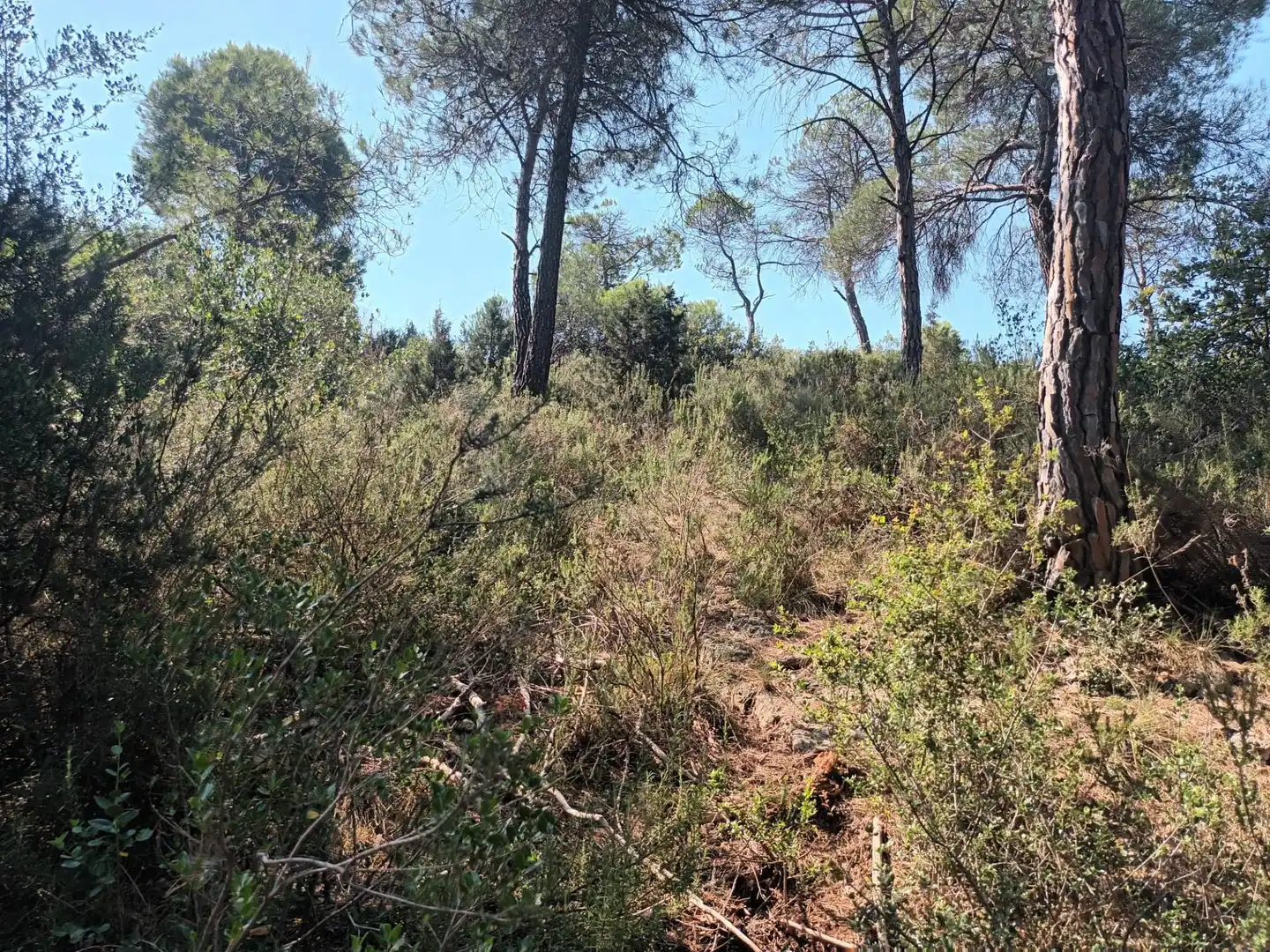Residential for sale in La Pobla de Claramunt