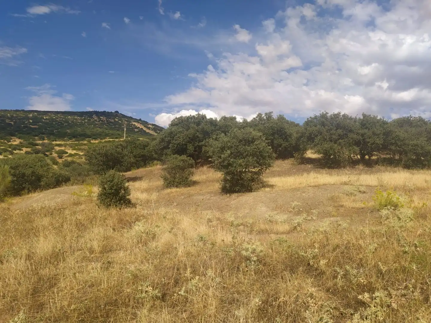Rural land for sale in CM-4111 49, imagen 2