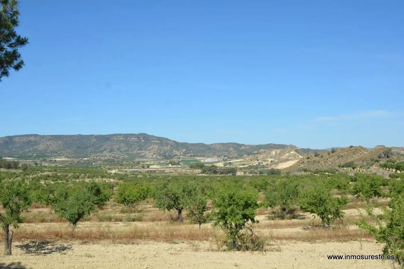 Terreno rustico in vendita a Campo de Murcia, imagen 7