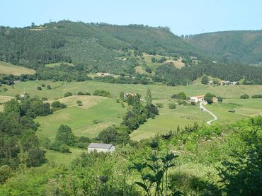 Terreno residencial en venta en Calle Peral