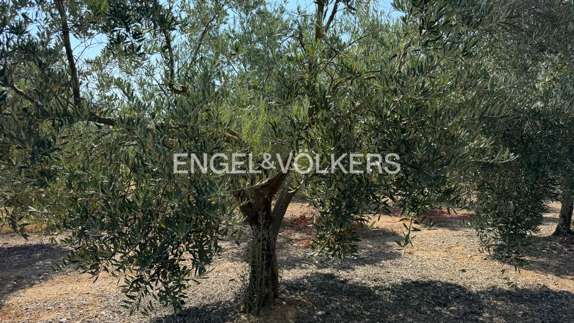 Land for sale in Pedret i Marzà