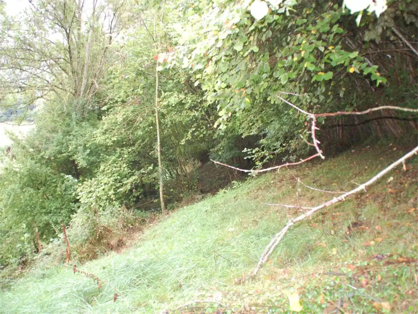 Finca rústica en venda en Cabrales