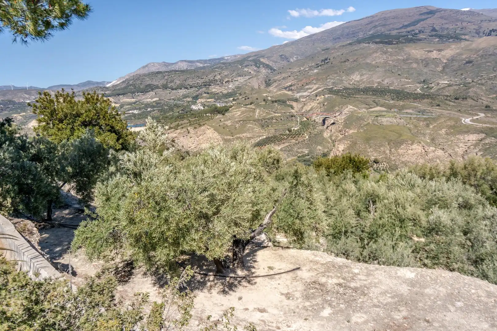 Land for sale in El Pinar
