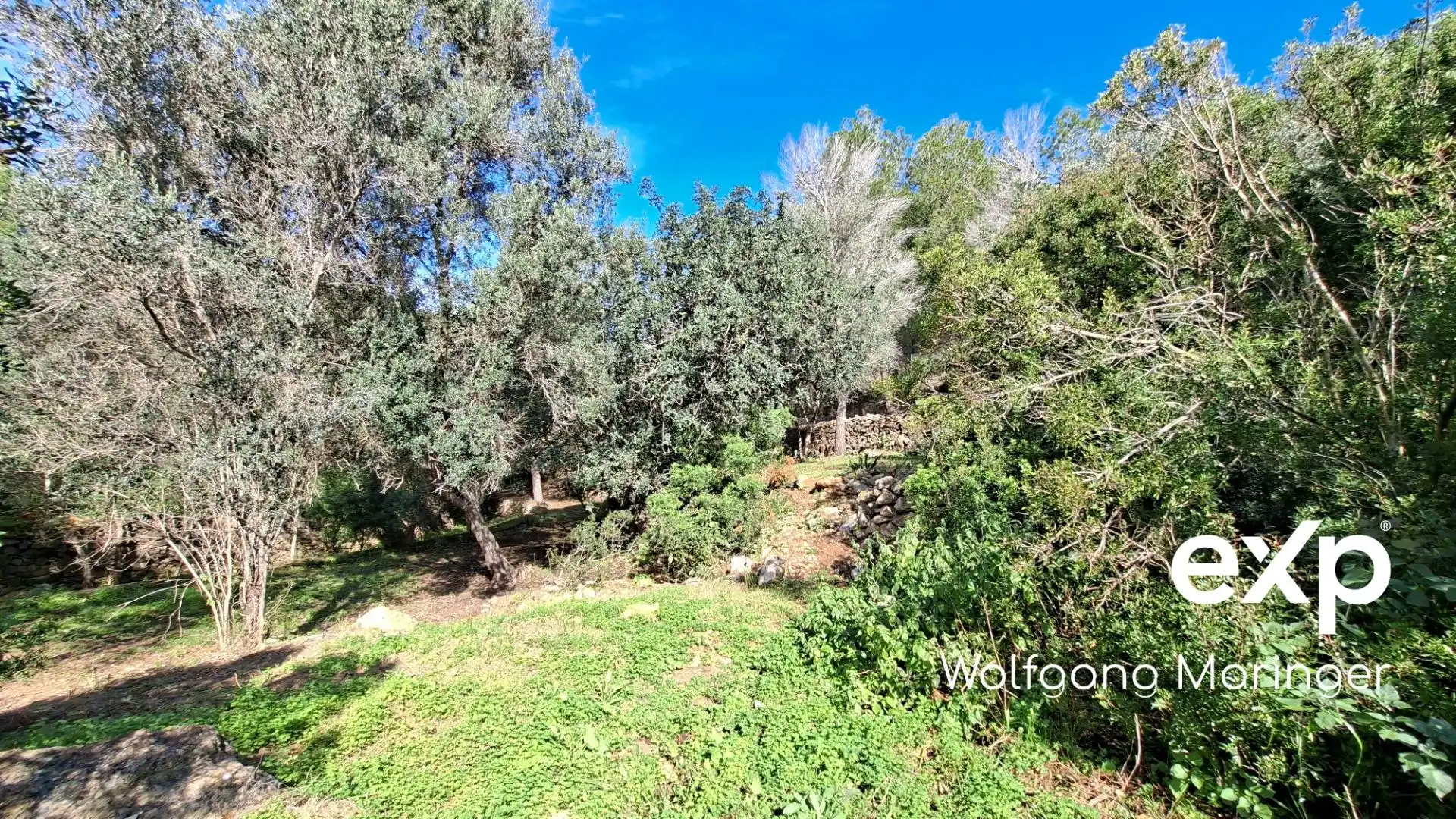 Terreny residencial en venda a Calle Corral de Calafat 104, imagen 9