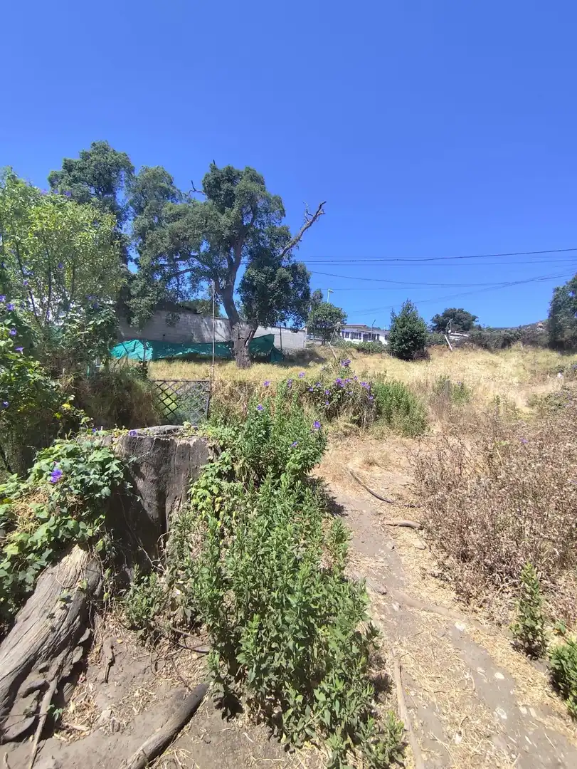 Terrenos y solares en venta en San García, imagen 5