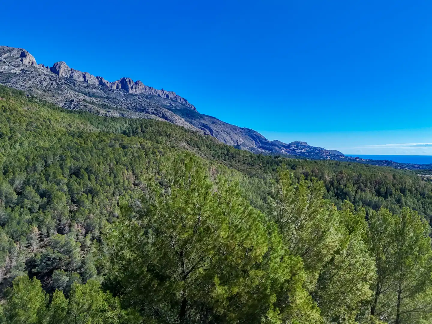 Terreny residencial en venda a Altea la Vella, imagen 42