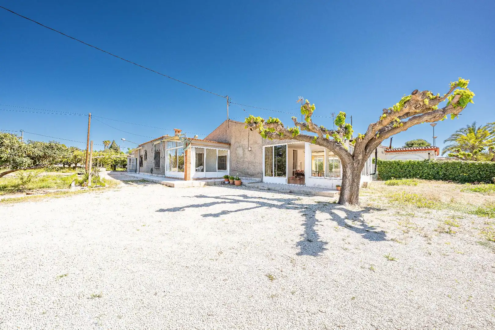 Vista exterior de Casa o chalet en venta en Elche / Elx con Aire acondicionado, Jardín privado y Terraza