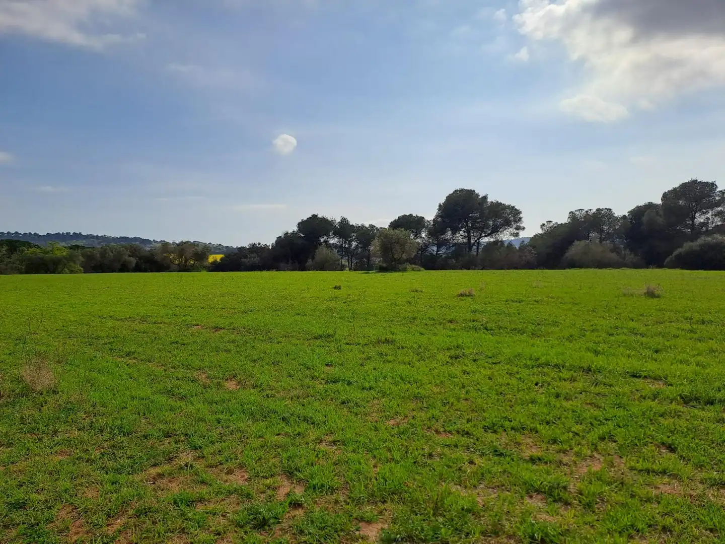 Land for sale in Terrassa