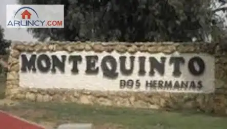 Chalet con jardín en venta en Cerros de Montequinto, imagen 30