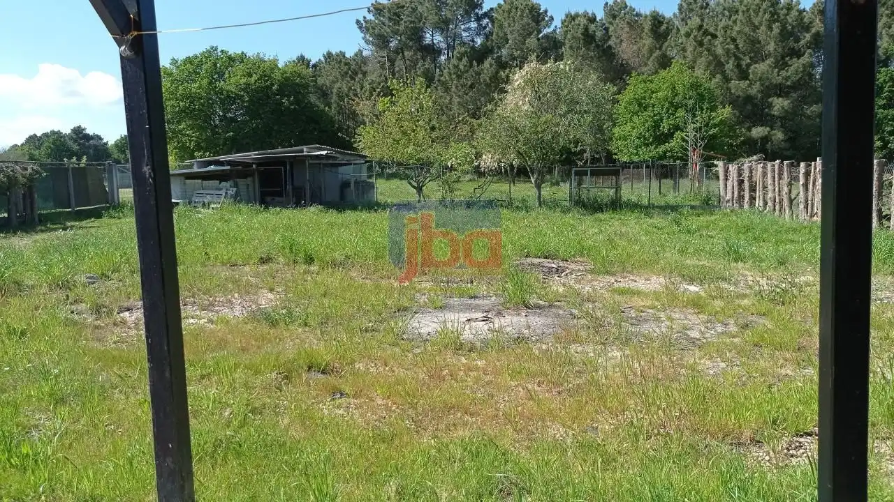 Xalet amb jardí en venda a Coles, imagen 21