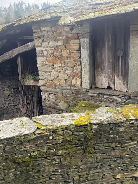 Vista exterior de Finca rústica en venda en Grandas de Salime