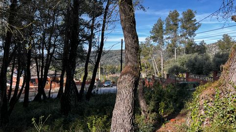 En plena naturaleza y cerca de la gran ciudad ...