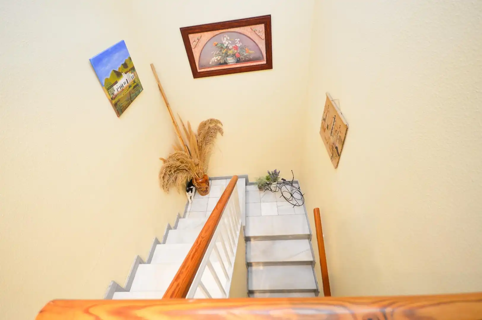 Houses for sale in Canjáyar  with Air Conditioner, Private garden and Terrace