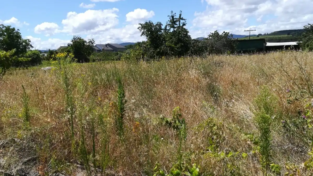 Terreni e lotti in vendita a Cacabelos, imagen 4