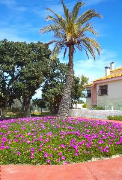 Jardí de Casa o xalet en venda en Mutxamel amb Calefacció, Jardí privat i Terrassa