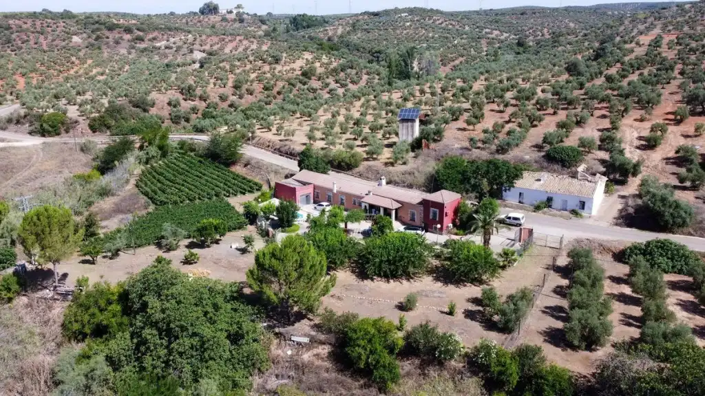 Vista exterior de Finca rústica en venda en Tierga amb Jardí privat, Terrassa i Traster