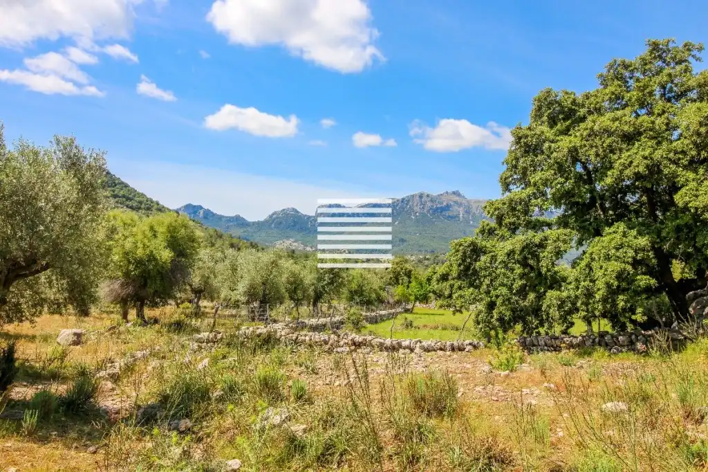 Casa o chalet en venta en Escorca con Trastero