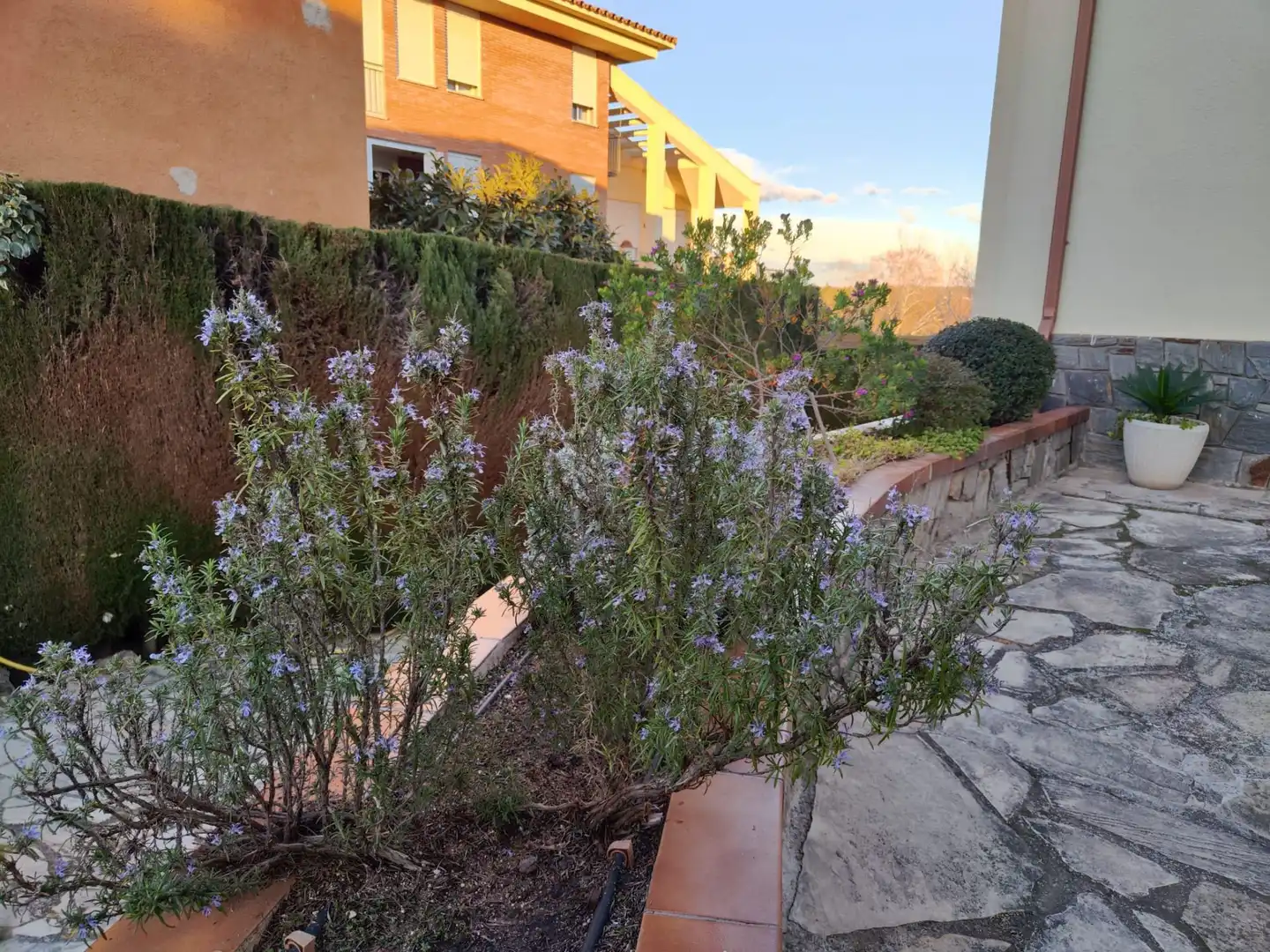Casa o chalet en venta en valles, Canovelles