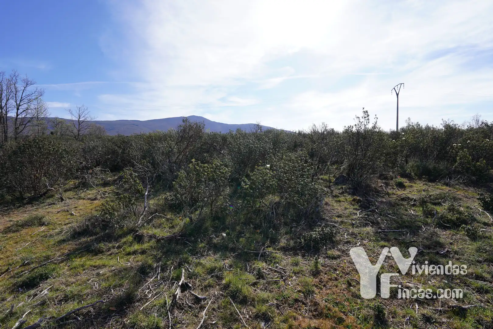 Terreno rústico en venta en Campillo de Ranas, imagen 20